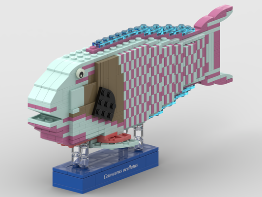 Spotted parrotfish – kit from LEGO® bricks