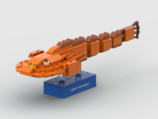 Montagu's sea snail – kit from LEGO® bricks