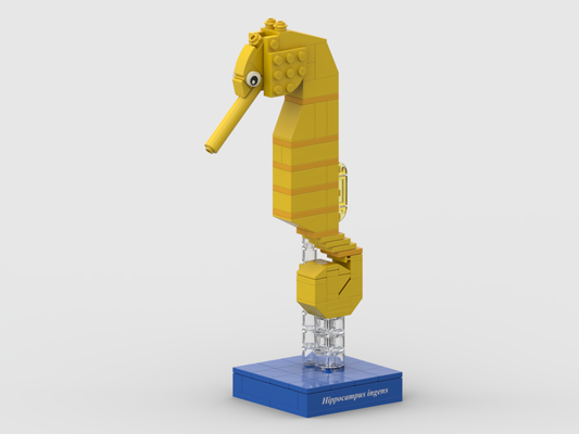 Pacific seahorse – kit from LEGO® bricks